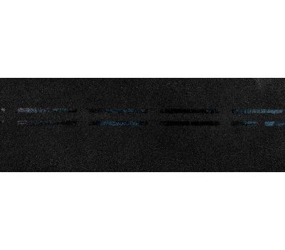 Коньково-карнизная черепица Eurasia - Чёрный от производителя Docke по цене 3 900 р Коньково-карнизная черепица Eurasia - Чёрный от производителя Docke по цене 3 900 р